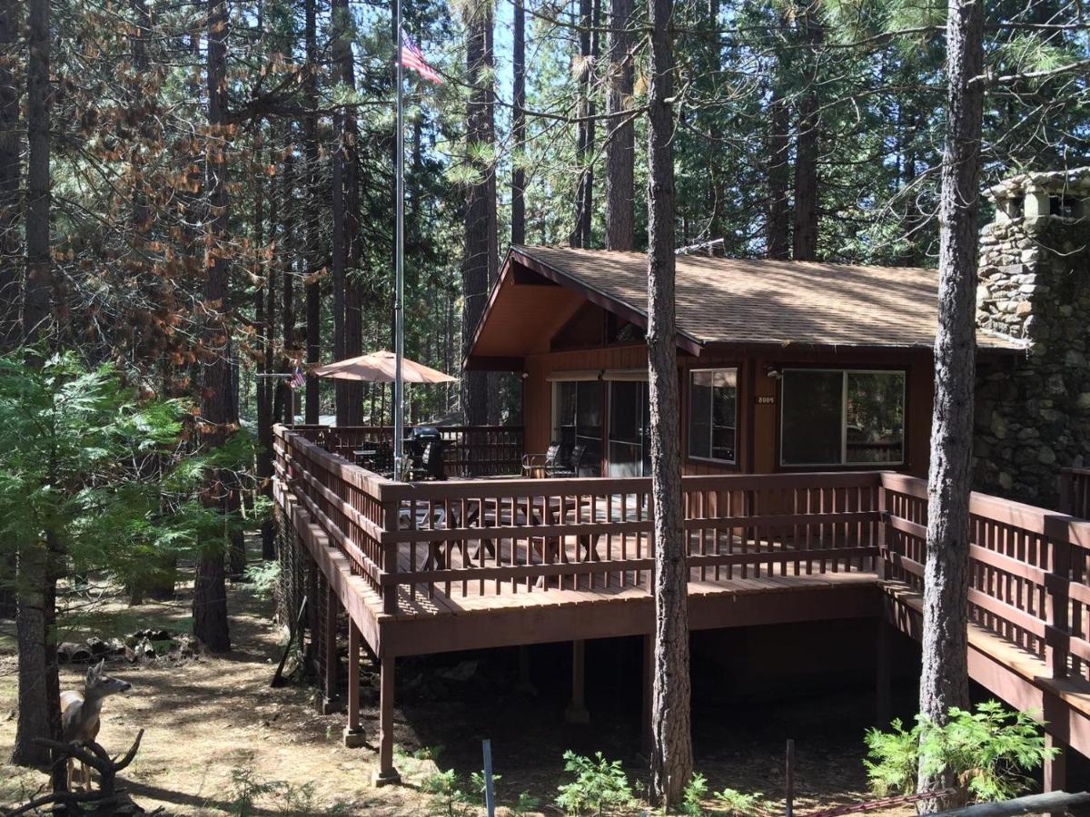 Papa Bear Cabin - 3BR/3BA Home North Wawona Bagian luar foto